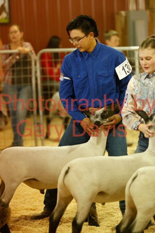 _MG_0122 (2)